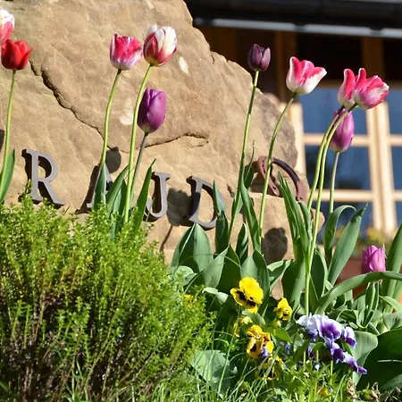 Rajd 公寓式酒店 3*